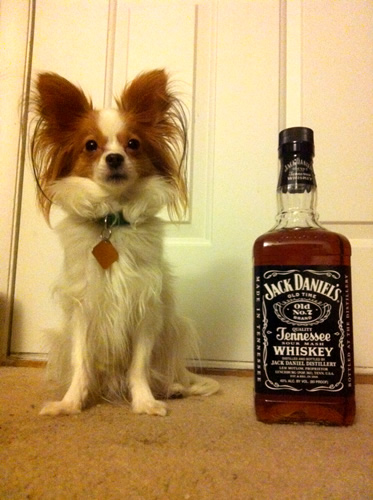 our friend phoebe and jack daniels
